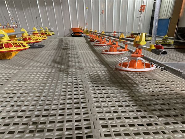 平養(yǎng)料線水線實(shí)際圖